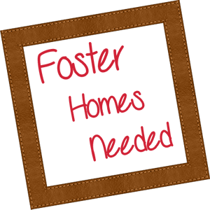 Foster Parents Needed